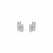 Double Oval Stud